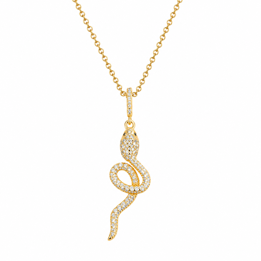 Colección De Damas